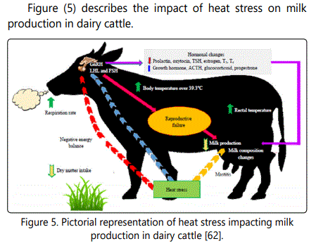 PDF) Influence of dietary fiber content and horn status on thermoregulatory  responses of Brown Swiss dairy cows under thermoneutral and short-term heat  stress conditions