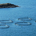 Journal of Aquaculture Research and Development