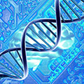 Journal of Proteomics and Computational Biology